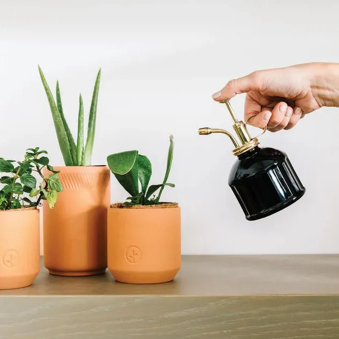 jao-for-the-home-plant-mister-pflanzenspr-her-messing-236-ml image 1