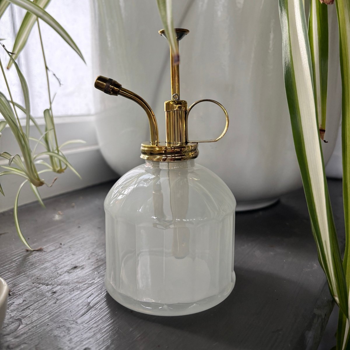jao-for-the-home-plant-mister-pflanzenspr-her-messing-236-ml image 2