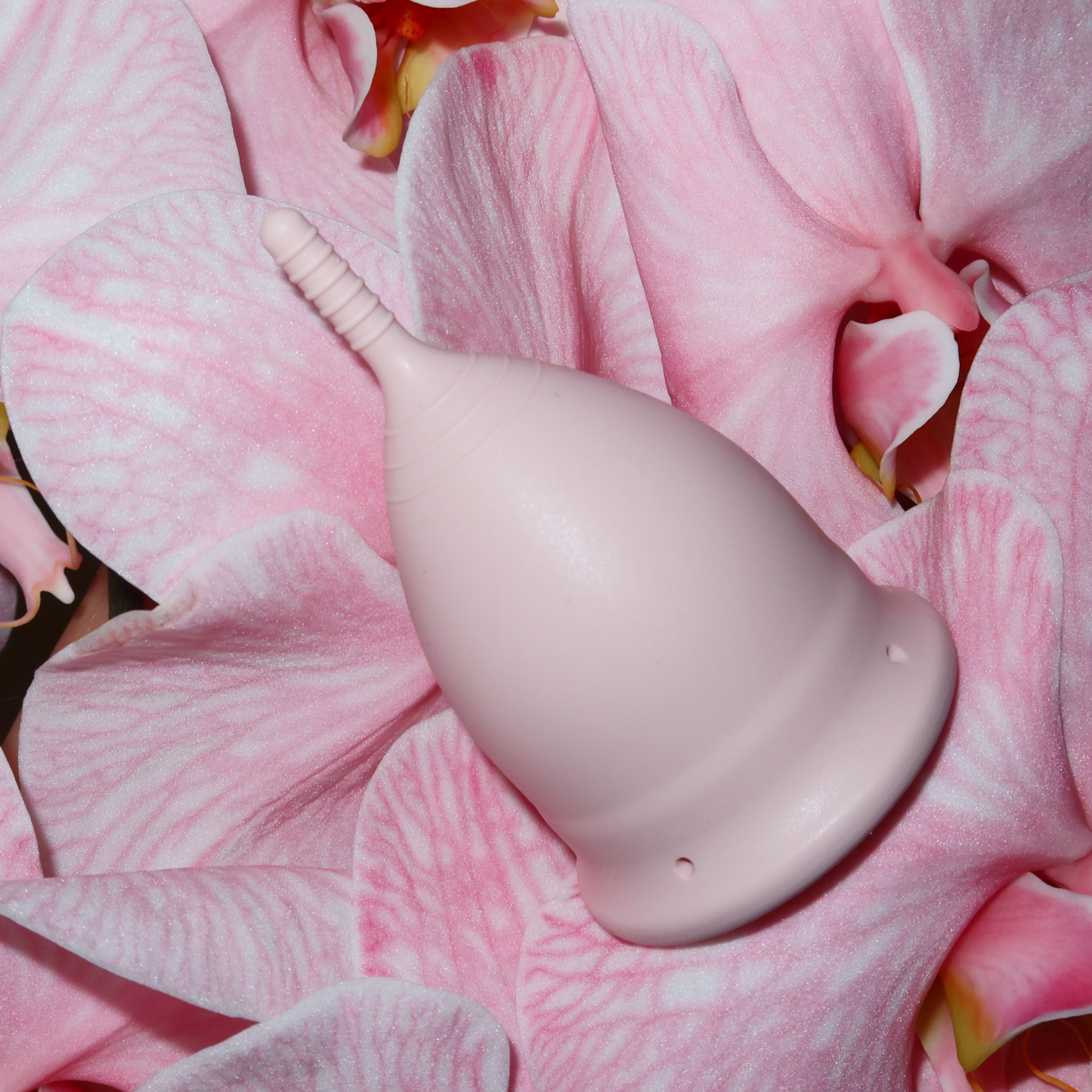 divine-cup-menstruationstasse-rosa-soft-medizinisches-silikon image 8