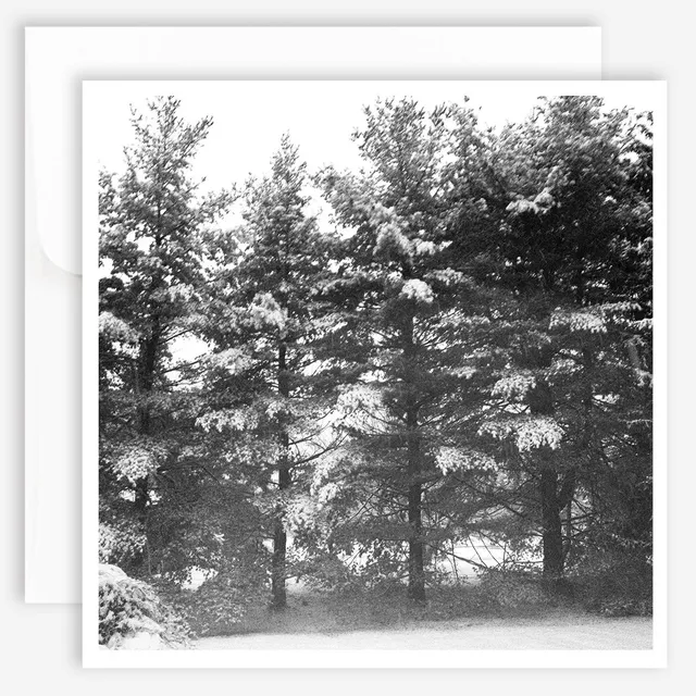 jao-note-cards-winter-trees-gru-karten-winterb-ume image 1