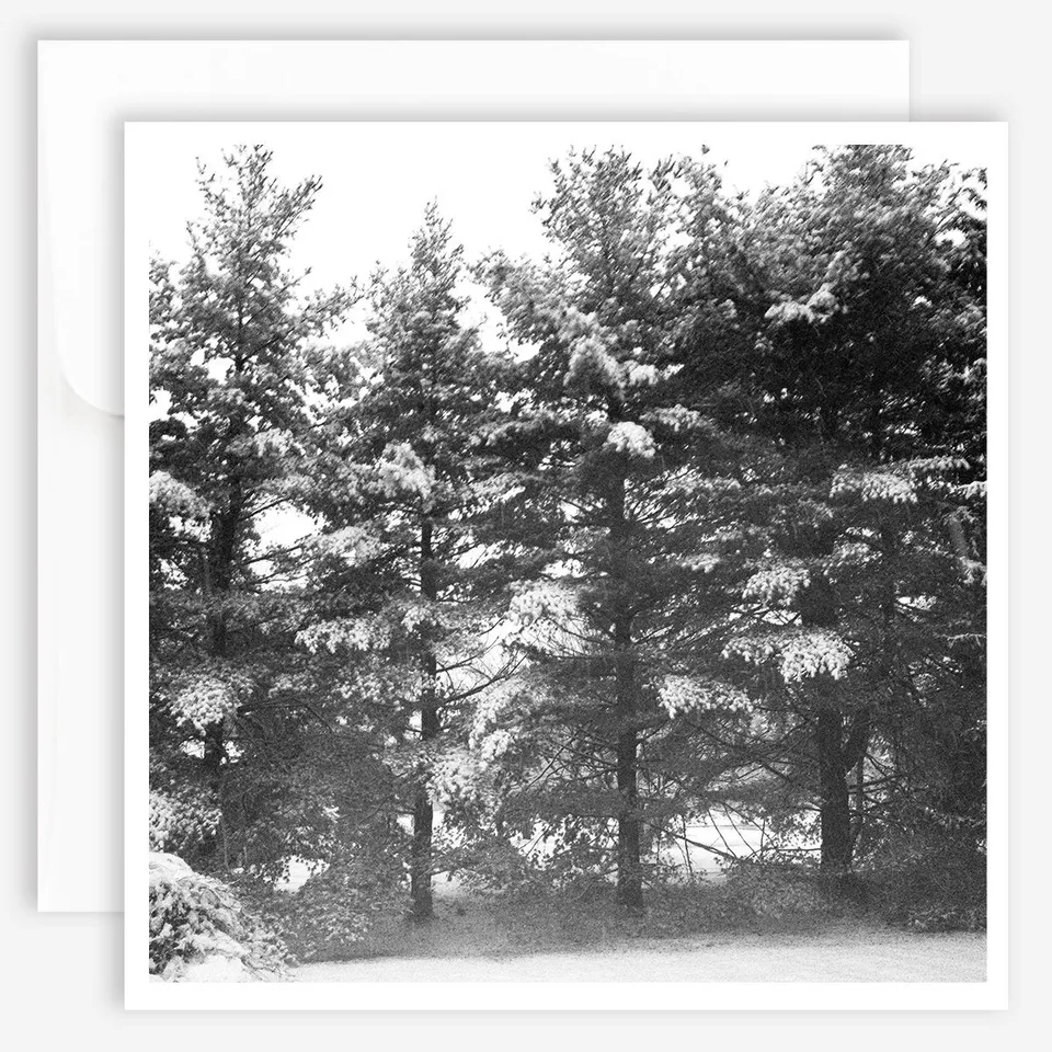 jao-note-cards-winter-trees-gru-karten-winterb-ume image 1